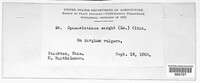 Image Associated With the Occurence